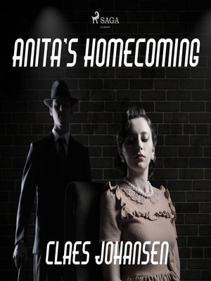 cover image of Anita's Homecoming